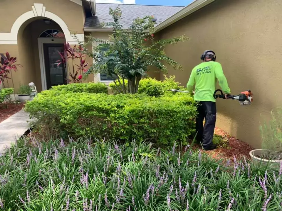 landscaper trimming hedges at a home in Tampa